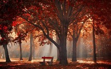 Landscape park trees fall mist leaves bench sun rays Custom Gaming Mat Desk picture