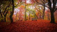 Landscape fall bench trees Custom Gaming Mat Desk picture