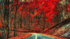 Landscape trees road nature Custom Gaming Mat Desk picture