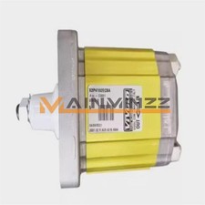 1PC VIVOLO Gear Pump X2P4102ECBA NEW fedex or DHL picture