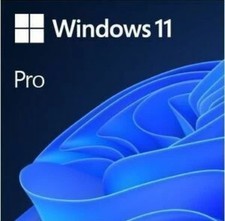 Windows 11 Pro 64-Bit USB Flash Drive OEM Version picture