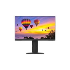 Planar PZN2410 24 Class Full HD LCD Monitor - 16:9