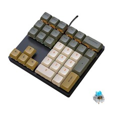 33-Key Mechanical Numpad, Rainbow Backlit, Clicky Blue Switches, Brown Grey picture