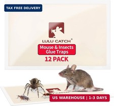 LULUCATCH Mouse Traps, 12 Pack Pre-Baited Sticky Mouse Traps Indoor for Home, No picture