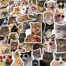 HopPixelle 100 Pcs Cat Stickers, Funny Meme for Water Bottles Colorful  picture