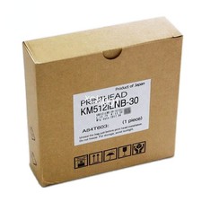 Original Japan KM 512i LNB 30pl Printhead KM512i Cabezal for Konica Allwin picture