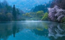 Landscape nature photography lake forest spring morning Custom Gaming Mat Desk picture