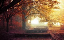 Landscape mist trees fall path leaves park walkway Custom Gaming Mat Desk picture
