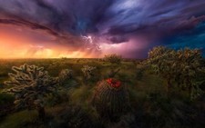Landscape nature lightning storm shrubs grass sky clouds Custom Gaming Mat Desk picture