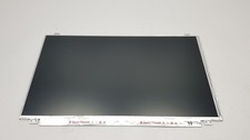 AU Optronics 15.6