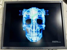 Eizo Flexscan S2133 21 Inch Monitor 1600x1200 Diagnostic Display picture