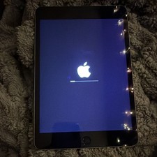 Apple iPad mini 4 Tablet Space Gray w/ Front & Rear Built-In Cameras picture