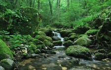 Landscape nature water forest moss river rocks Custom Gaming Mat Desk picture