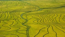 Landscape nature green field river rice fields aerial Custom Gaming Mat Desk picture