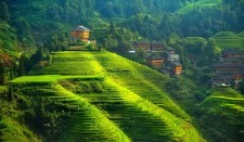 Landscape terraced field hills china agro Custom Gaming Mat Desk picture