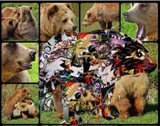 Grizzly Bear Art DecoCollage Mouse Pads Stunning Photos picture