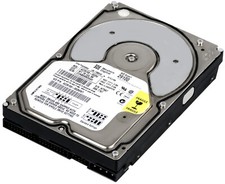 Western Digital WD Expert 29100 Internal 3.5