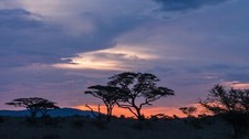 Landscape nature savannah umbrella thorn field sunset Custom Gaming Mat Desk picture