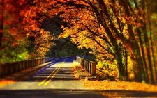 Landscape road fall bridge Custom Gaming Mat Desk picture