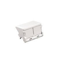 Panduit CHF2IW-X Modular Insert 1/2 Size Flat 2 Port Off White Pack of 10 picture
