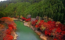 Landscape fall river forest japan red green leaves trees Custom Gaming Mat Desk picture
