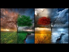 Landscape seasons collage art trees plants flowers grass Custom Gaming Mat Desk picture