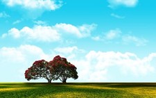 Landscape sky Custom Gaming Mat Desk picture