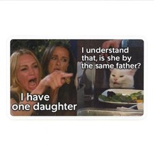 I have one daughter cat meme sticker picture