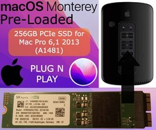 SSD Solid State Drive 256GB for Mac Pro A1481 2013 ME253LL/A MD878LL/A picture