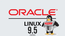 Oracle Linux 9.5 Bootable USB Flash Drive picture