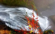 Landscape waterfall red leaves fall moss Custom Gaming Mat Desk picture