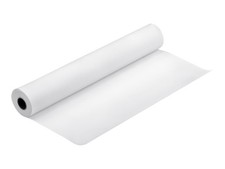 Epson Doubleweight Matte Paper Matte Roll A1 x Paper C13S041385 picture