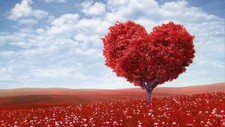 Landscape trees heart art flowers red Custom Gaming Mat Desk picture