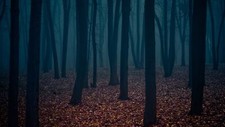 Landscape forest dark trees Custom Gaming Mat Desk picture