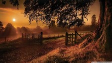 Landscape fall nature outdoors sun trees Custom Gaming Mat Desk picture