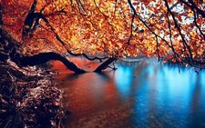 Landscape trees leaves water fall Custom Gaming Mat Desk picture