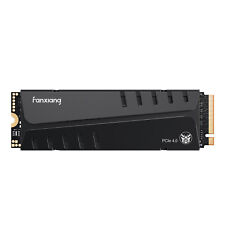 Fanxiang M.2 SSD 1TB NVME Internal PS5 SSD Heat Sink PCIe 4.0 Solid State Drive picture