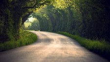 Landscape trees road path nature blurred tunnel Custom Gaming Mat Desk picture