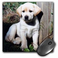 3dRose Cute Yellow Lab Puppy MousePad picture