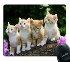 Kitten Flower Cute Funny Group Cat Mouse PadFour Cute Cats On A Branch Person... picture