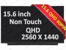 Dell Alienware X15 R1 QHD 240Hz LCD Laptop Screen 15.6
