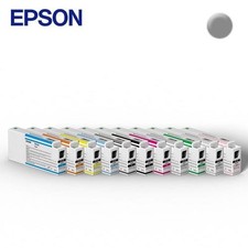 EPSON ULTRACHROME HD LIGHT BLK INK CART 150 ML - T54V700 (Expired) picture