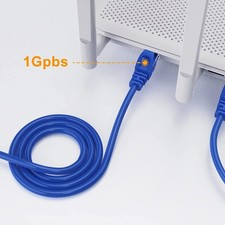 RJ45 Cat(Blue) picture