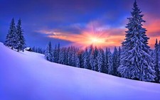 Landscape forest winter snow pine trees nature sky Custom Gaming Mat Desk picture