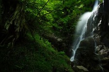 Landscape waterfall forest green rocks deep Custom Gaming Mat Desk picture