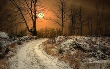 Landscape winter sun norway dirt road trees nature dry Custom Gaming Mat Desk picture
