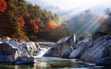 Landscape nature river mist forest fall sun rays trees Custom Gaming Mat Desk picture