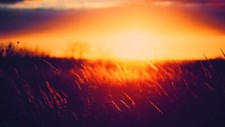 Landscape nature sunlight grass sunset golden Custom Gaming Mat Desk picture