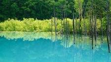 Landscape trees nature cyan reflection calm waters lake Custom Gaming Mat Desk picture