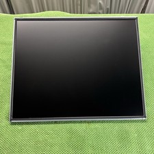 AU OPTRONICS AUO 19